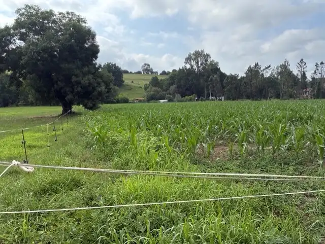 Terreni e lotti in vendita a Cabezón de la Sal, imagen 6