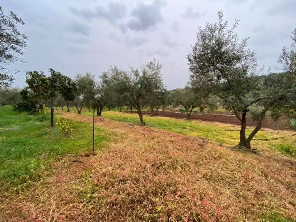 Casa o xalet en venda en La Granjuela amb Calefacció, Jardí privat i Traster