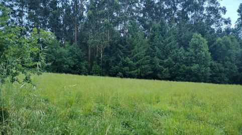 SE VENDE FINCA RUSTICA EN ANCA (NEDA) 8 FERRADOS