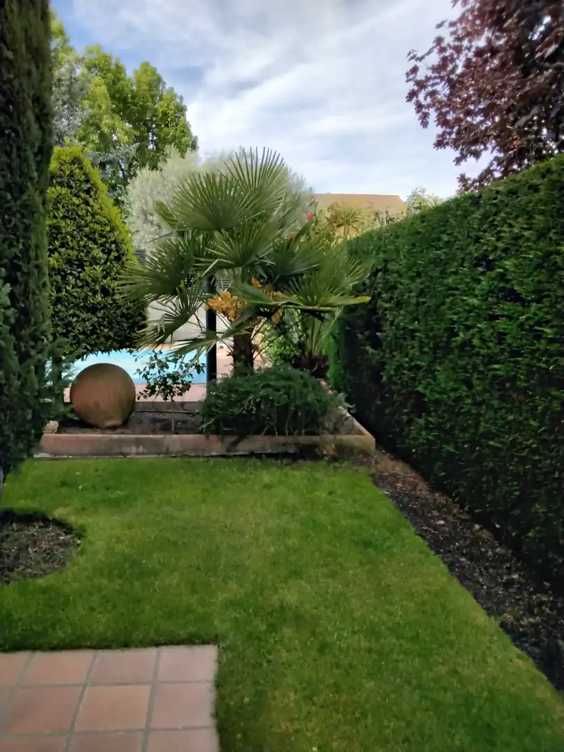 Jardí de Casa o xalet en venda en Colmenar Viejo amb Aire condicionat, Calefacció i Jardí privat