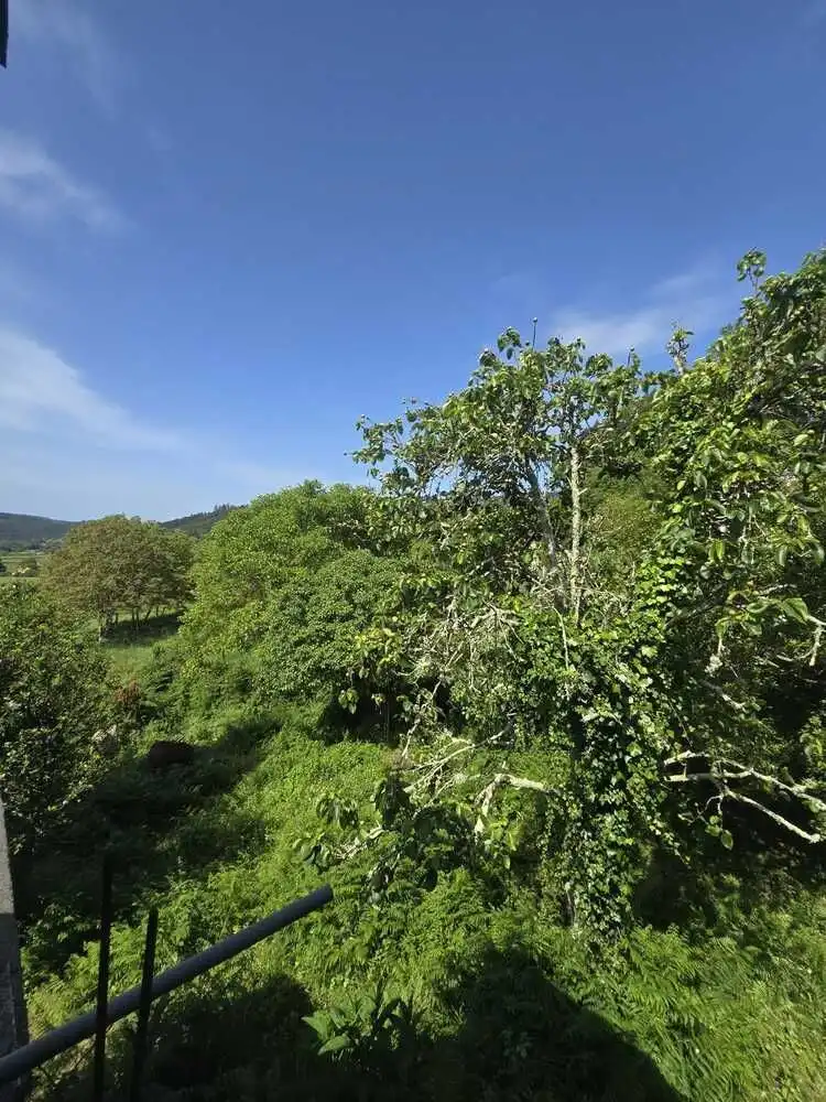 Casa rústica amb jardí en venda a Moeche, imagen 20