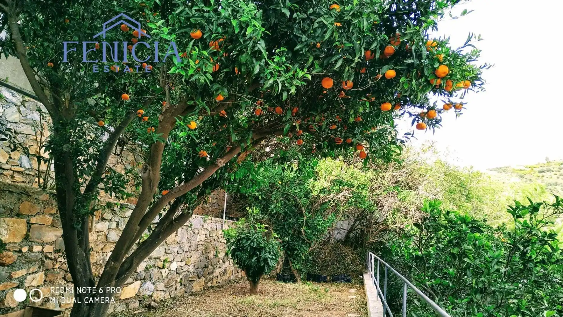 Jardí de Casa o xalet en venda en Almuñécar amb Jardí privat, Terrassa i Traster