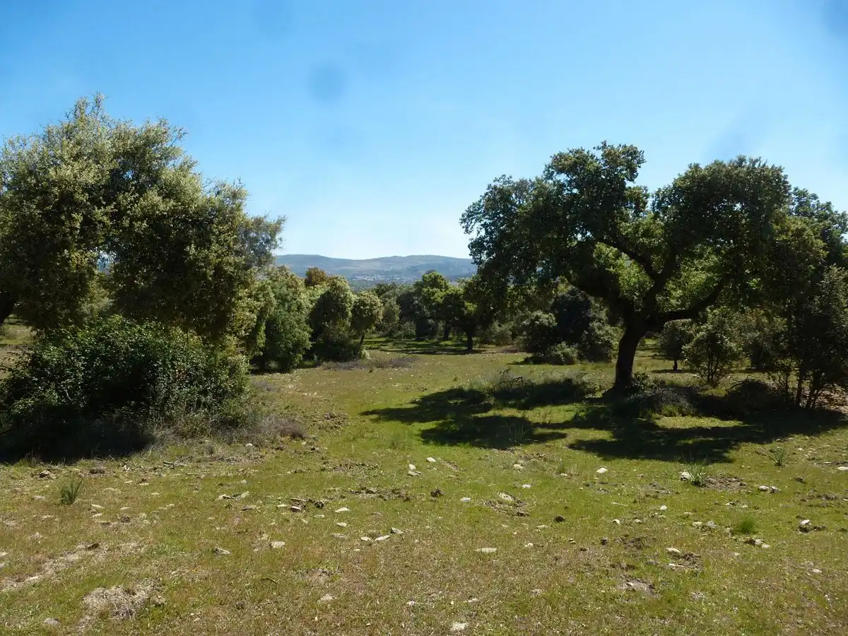 Terreni e lotti in vendita a Madroñera, imagen 5