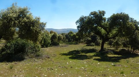 Finca de caza, immagine 5