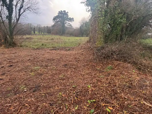 Terreno residencial en venta en Castropol, imagen 18