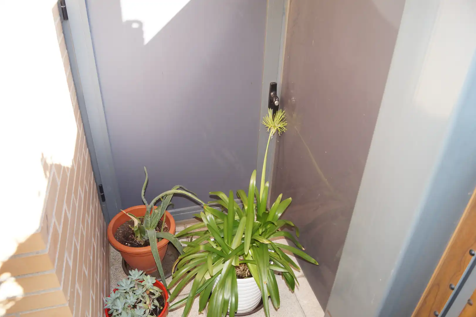 Terraza de Casa adosada en venta en Guadalajara con Jardín privado y Piscina
