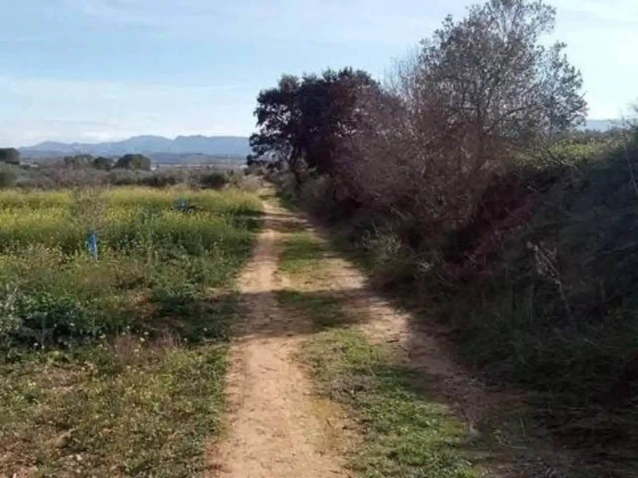 Terreno en venta en Guadasséquies