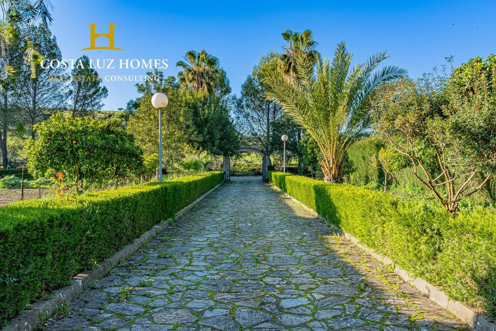 Vista exterior de Casa o chalet en venta en Prado del Rey con Jardín privado, Terraza y Trastero