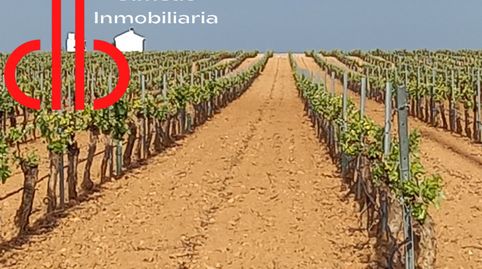 FINCA DE 14 HA DE VIÑA EN ESPALDERA DE RIEGO TOMELLOSO, immagine 3