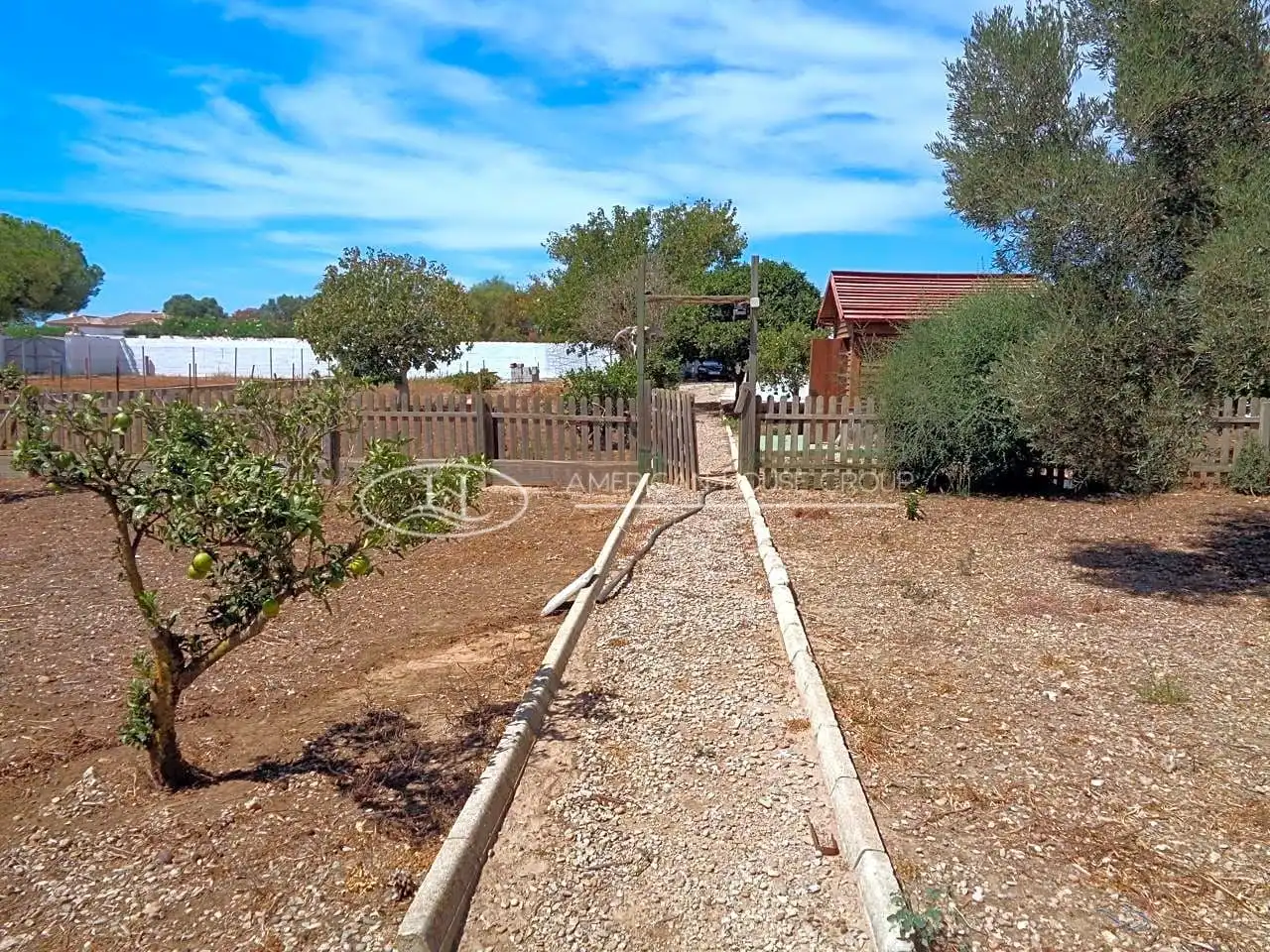 Jardí de Casa o xalet en venda en Chiclana de la Frontera amb Jardí privat i Piscina