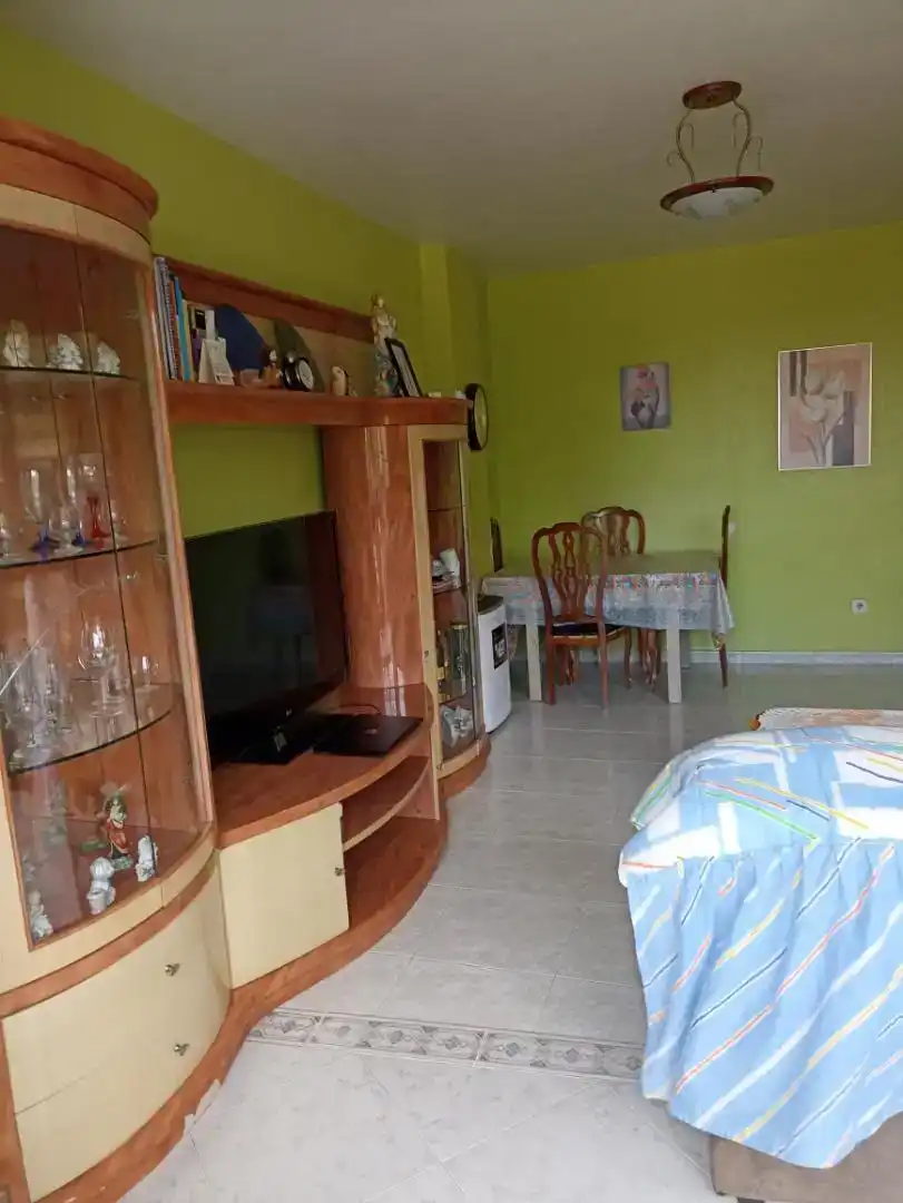 Living room of Flat for sale in Calpe / Calp  with Furnished, Oven and Washing machine