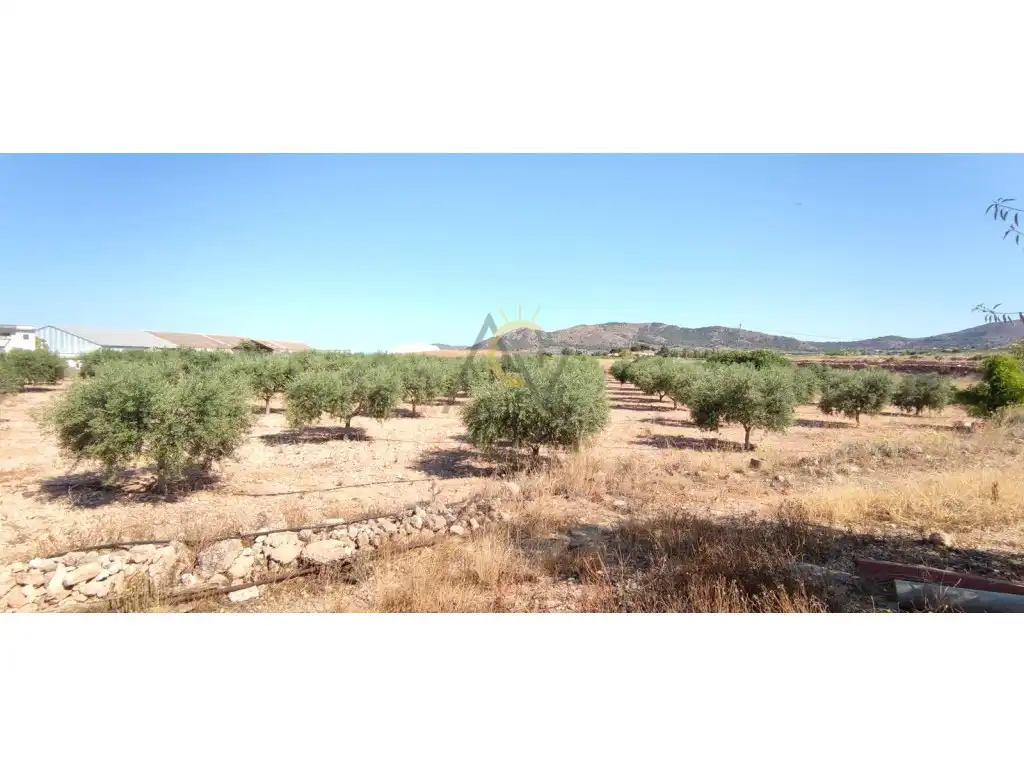 Finca rústica en venda en La Romana