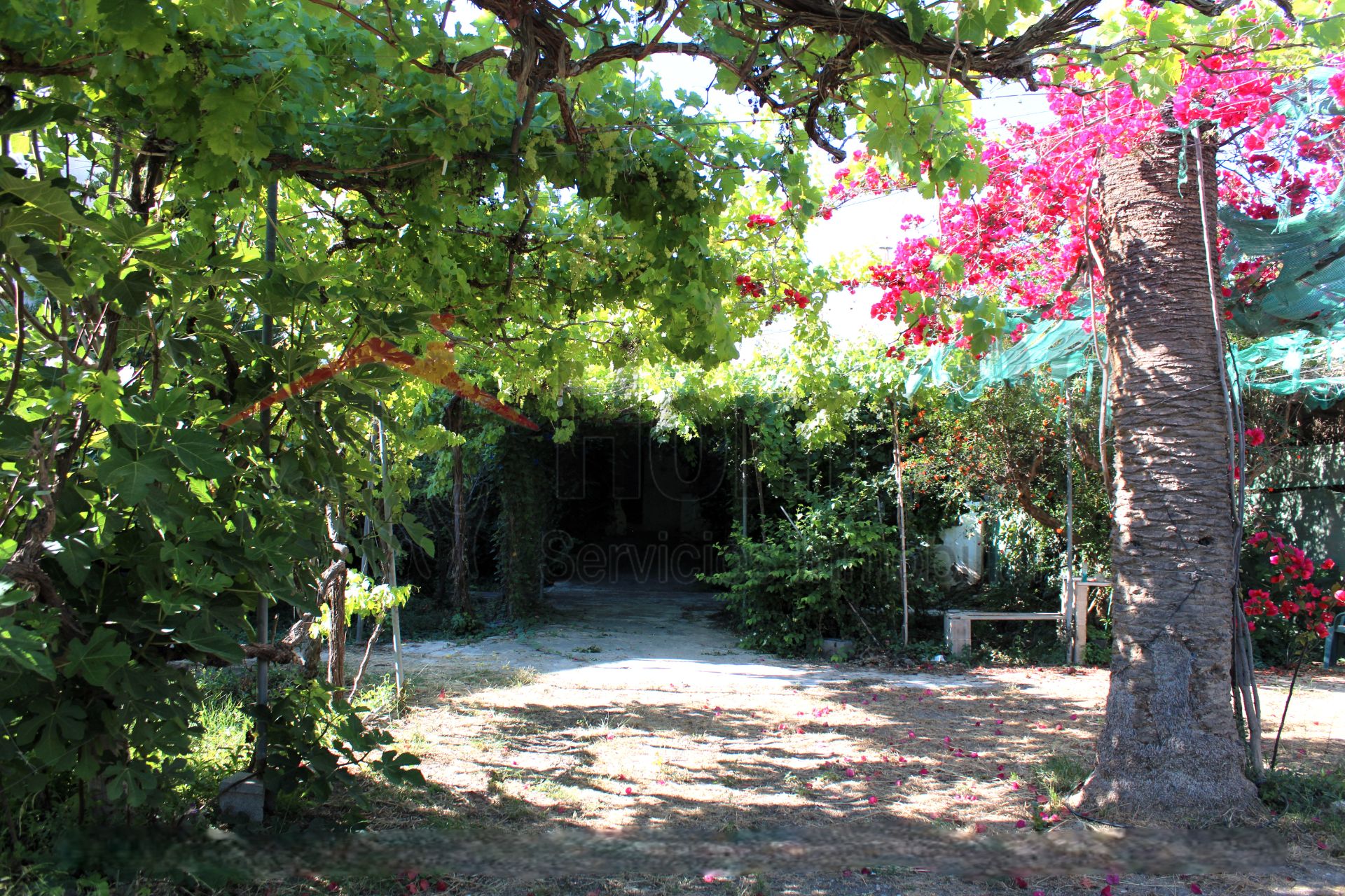 Jardí de Casa o xalet en venda en Alhama de Almería amb Aire condicionat, Jardí privat i Terrassa