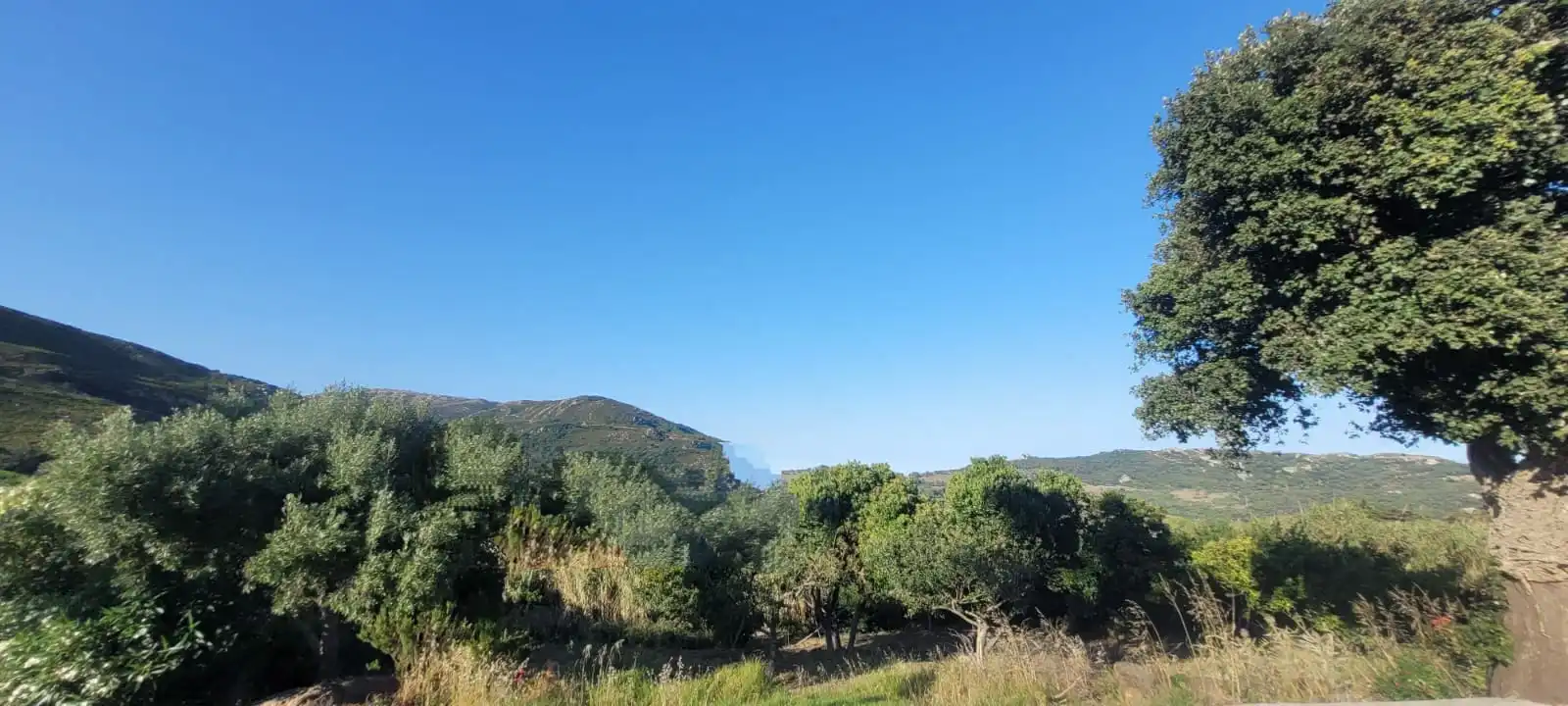 Casa o xalet en venda en Tarifa amb Jardí privat, Moblat i Forn