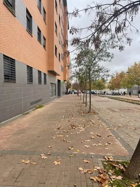 Individual con ascensor en venta en Avenida del Ensanche de Vallecas, imagen 4