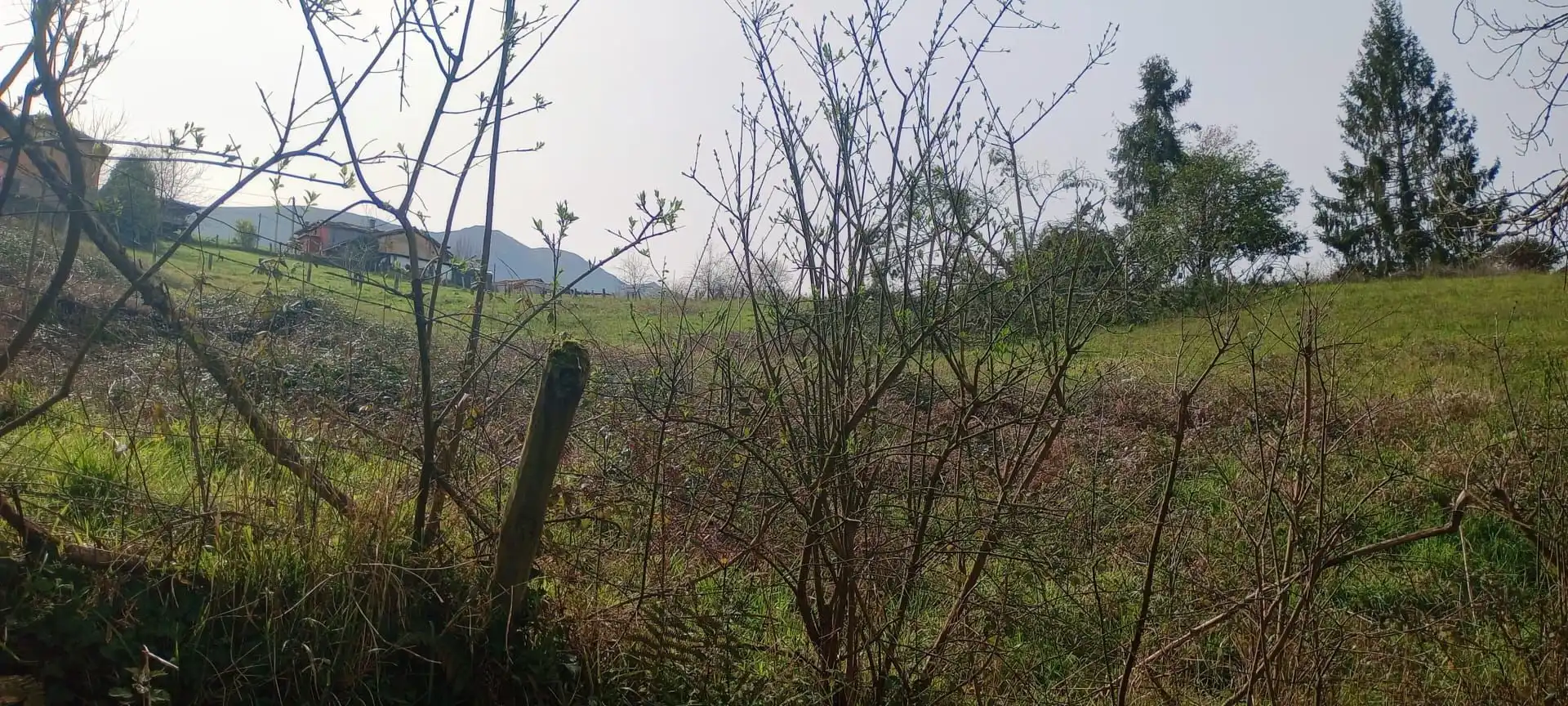 Terrenos y solares en venta en Parres, imagen 10
