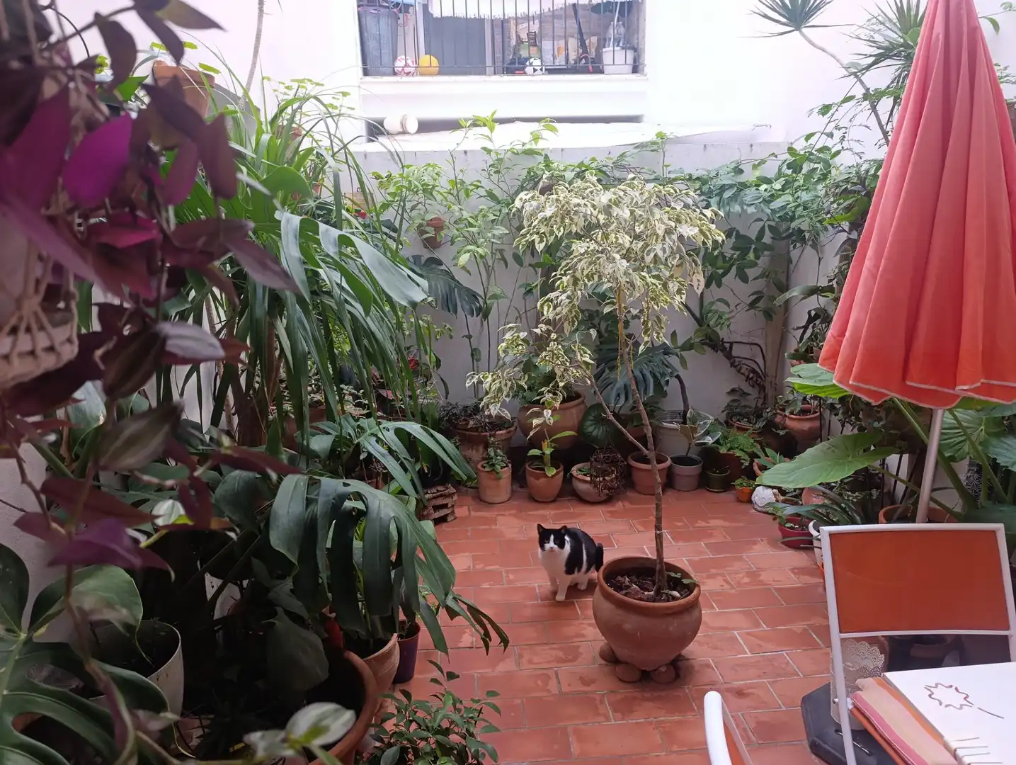 Jardí de Pis en venda en San Fernando