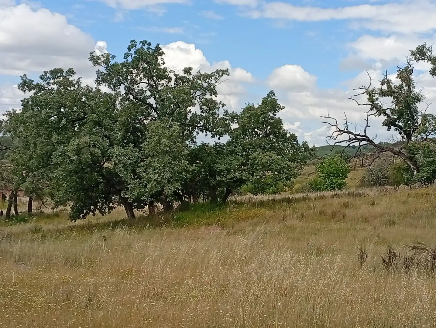 Terreni e lotti in vendita a Villanueva de la Vera, imagen 78