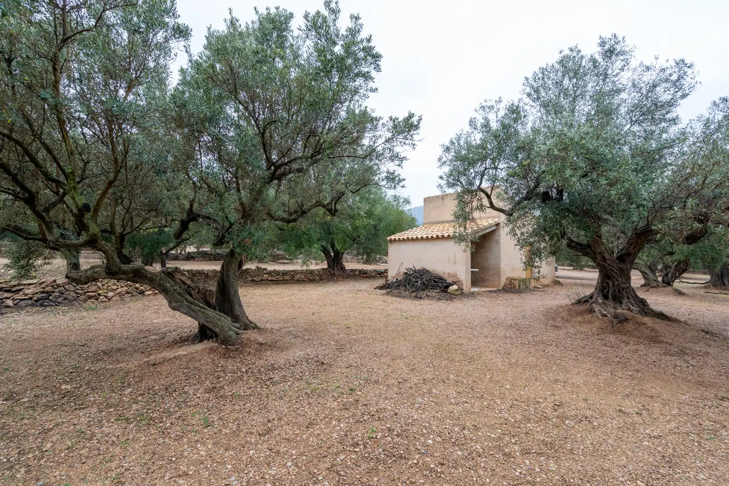 Terreno rustico in vendita a Cami de Pandorga 1, imagen 11