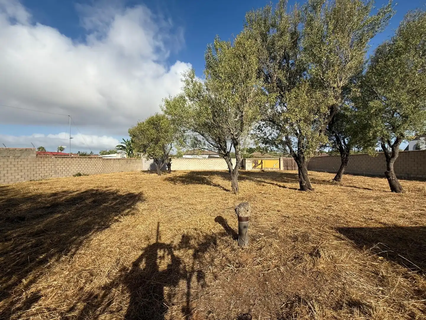 Terrenys i solars en venda a Los Franceses – La Vega, imagen 9