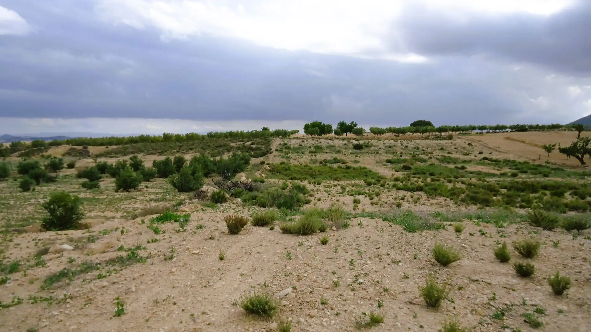 Terrain rustique à vendre à Abanilla, imagen 4