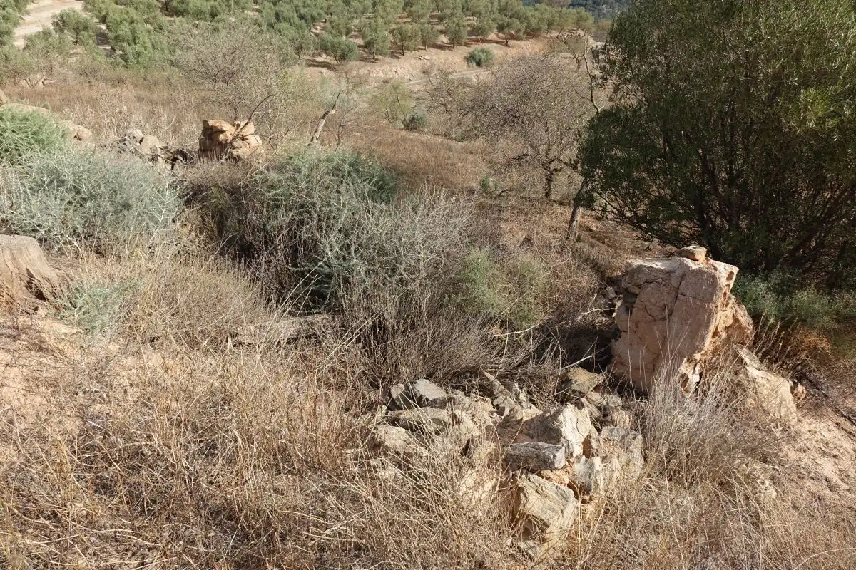 Finca rústica en venta en Lanjarón