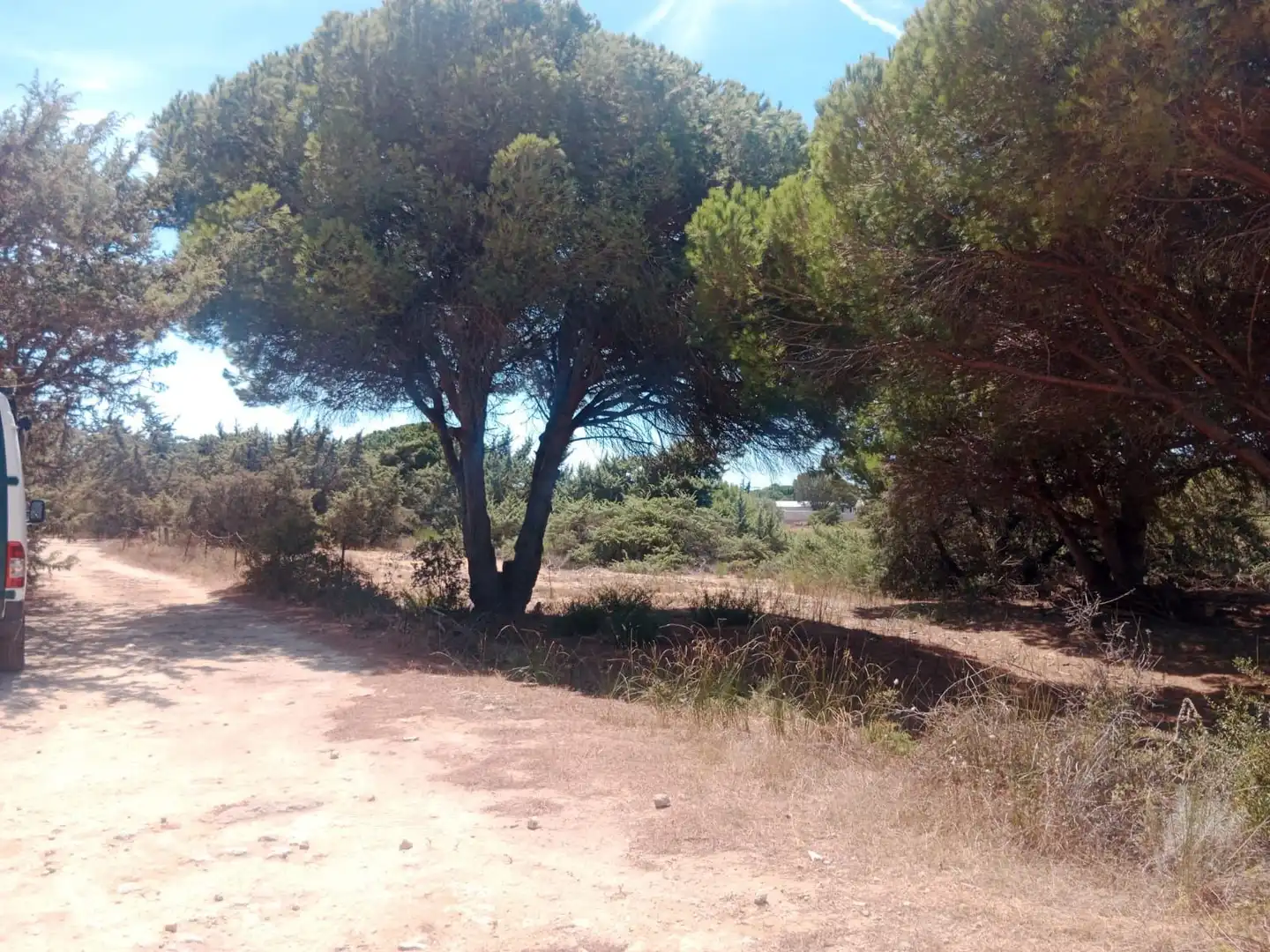 Rustikales Grundstück zum Verkauf in Las Lagunas - Campano