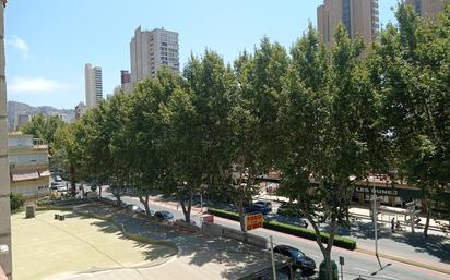 Vista exterior de Apartament en venda en Benidorm amb Terrassa