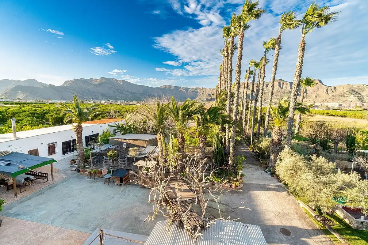 Maison rustique avec piscine à vendre à Orihuela ciudad, imagen 9