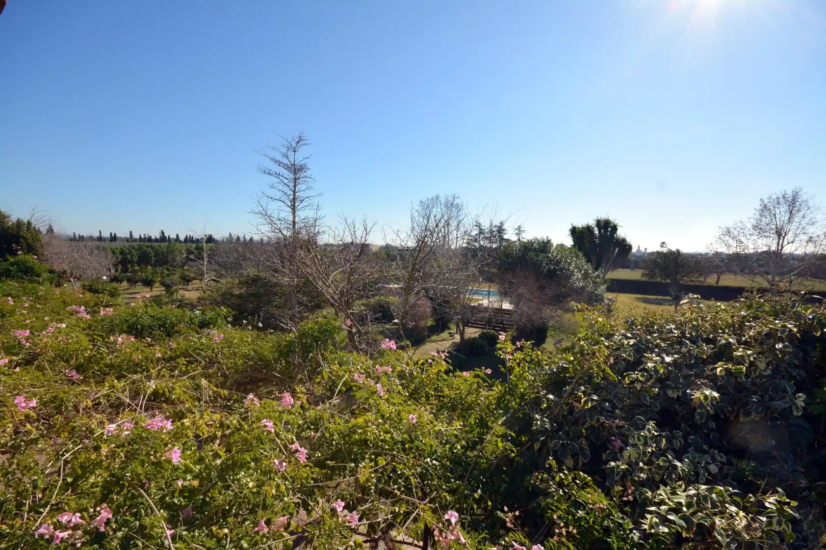 Jardí de Finca rústica en venda en Marratxí amb Aire condicionat, Calefacció i Jardí privat