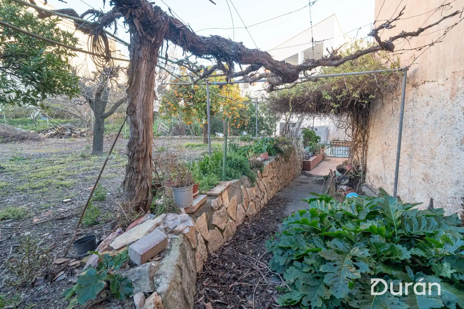 Jardí de Finca rústica en venda en Alcolea amb Aire condicionat, Jardí privat i Traster