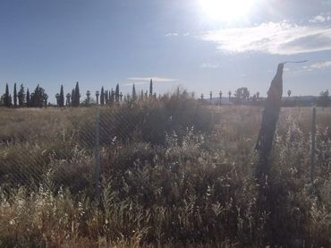 Terreno rústico en venta en Carretera Carretera a Palma del Río