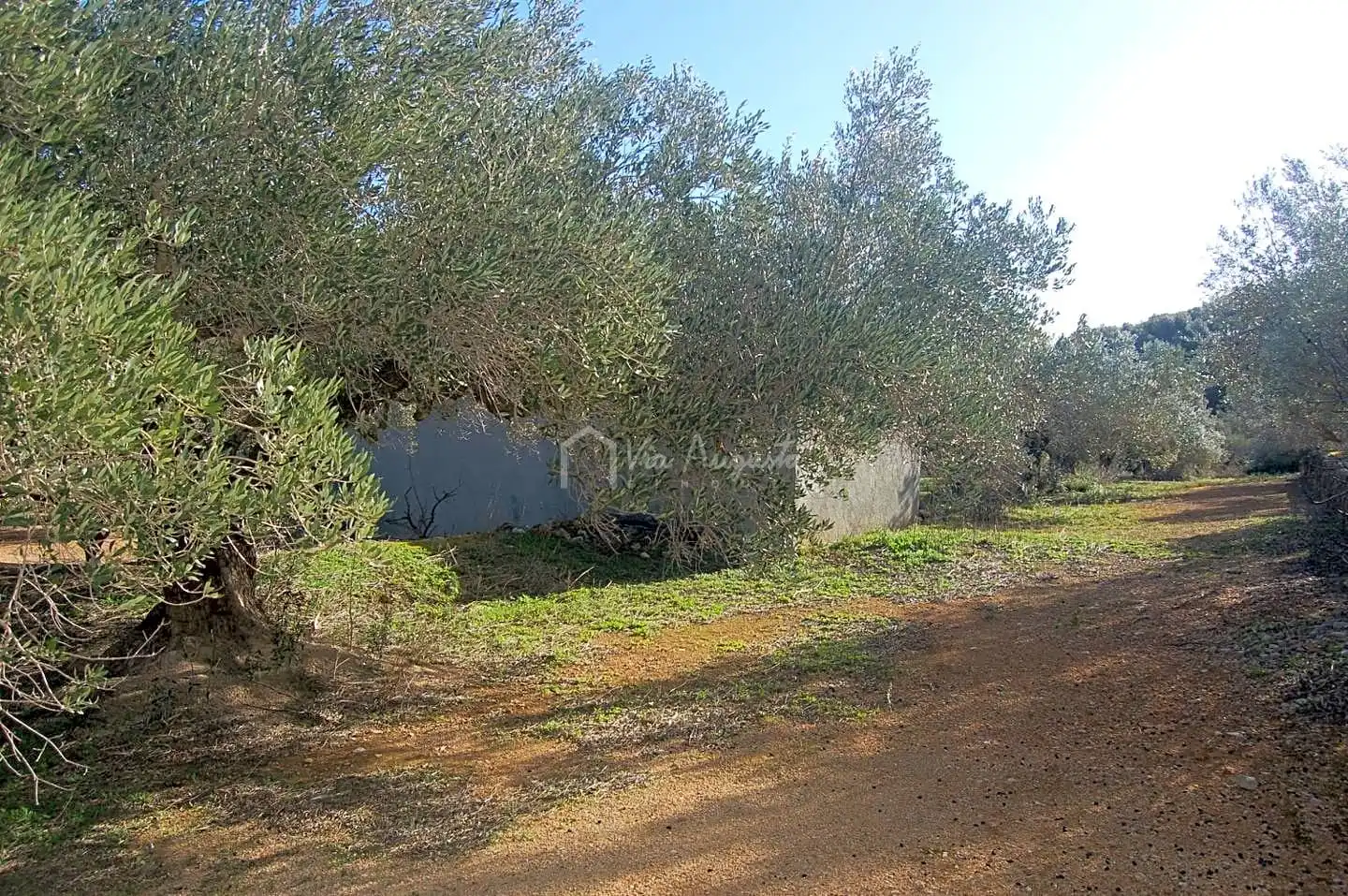 Terreno rustico in vendita a Masets, imagen 7