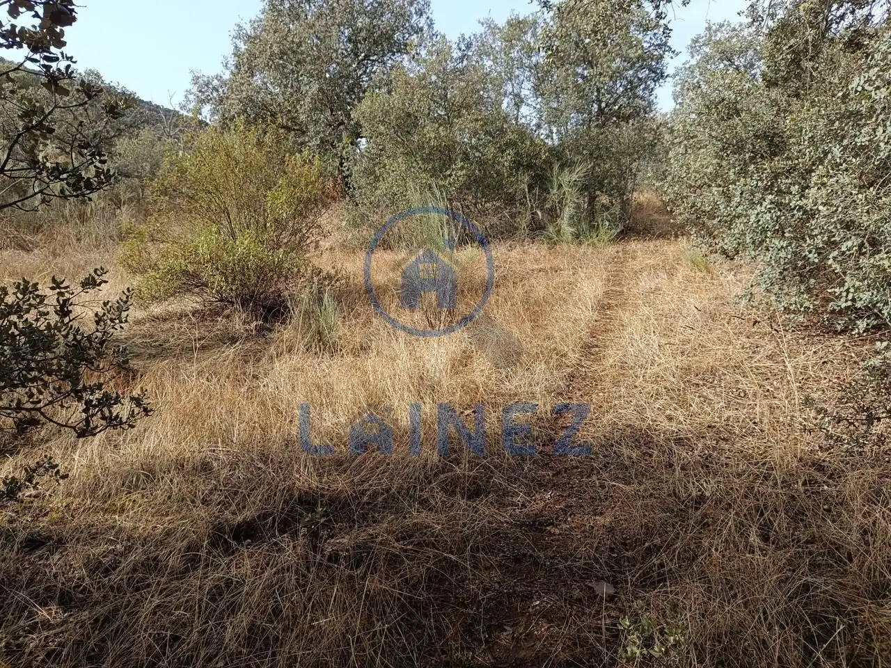 Lands and plots for sale in Espiel, imagen 13