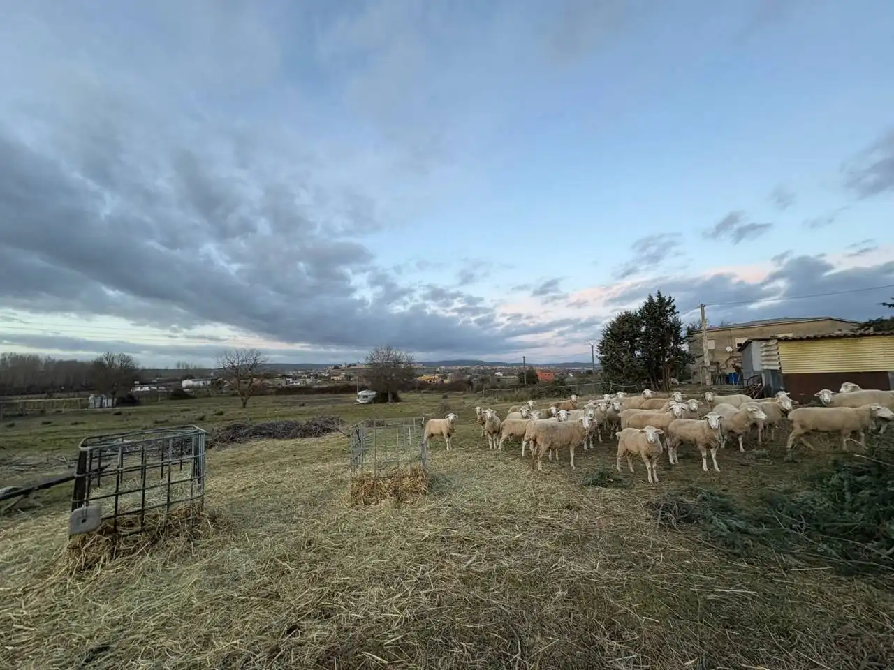 Terreno residenziale in vendita a Poligono 17, imagen 23