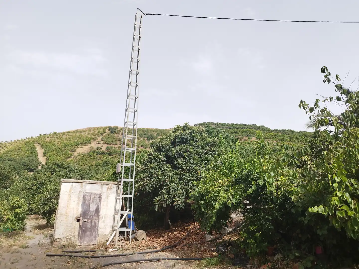 Terreno rustico in vendita a Diseminado Real Alto, imagen 4