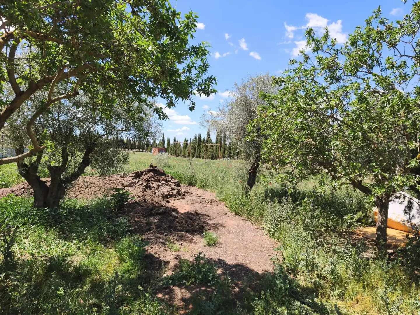 Finca rústica en venta en Alcázar de San Juan