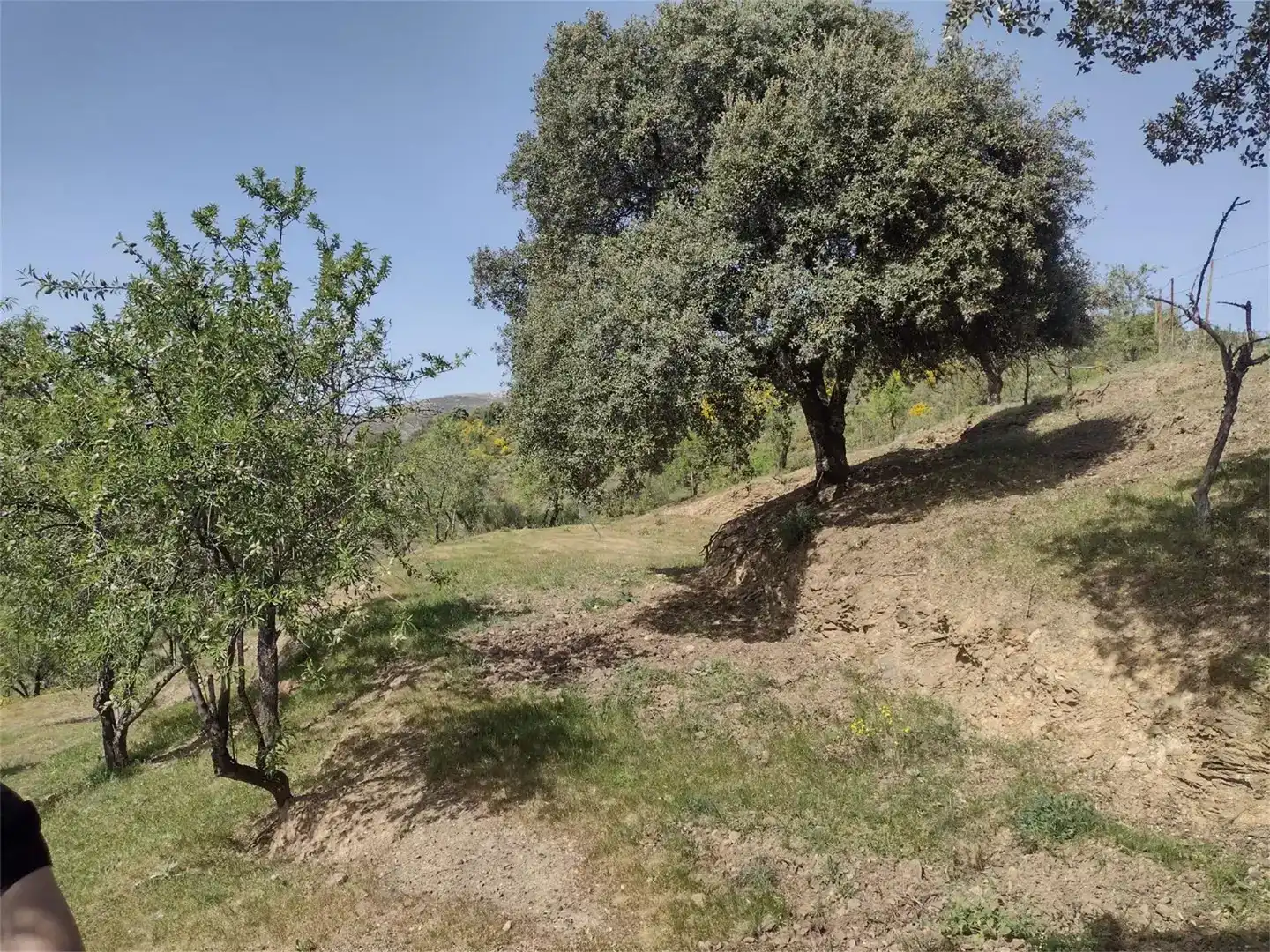Land for sale in Benadalid