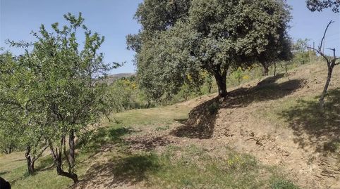 Foto 3 von Grundstücke zum Verkauf in Diseminado Poligono 1, 2, Benadalid, Málaga