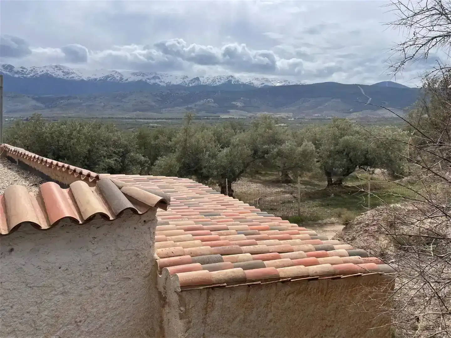 Vista exterior de Finca rústica en venda en Fiñana
