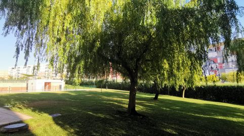 Foto 4 de Piso de alquiler en Calle Batalla de la Albuera, Golf Guadiana, Badajoz Capital