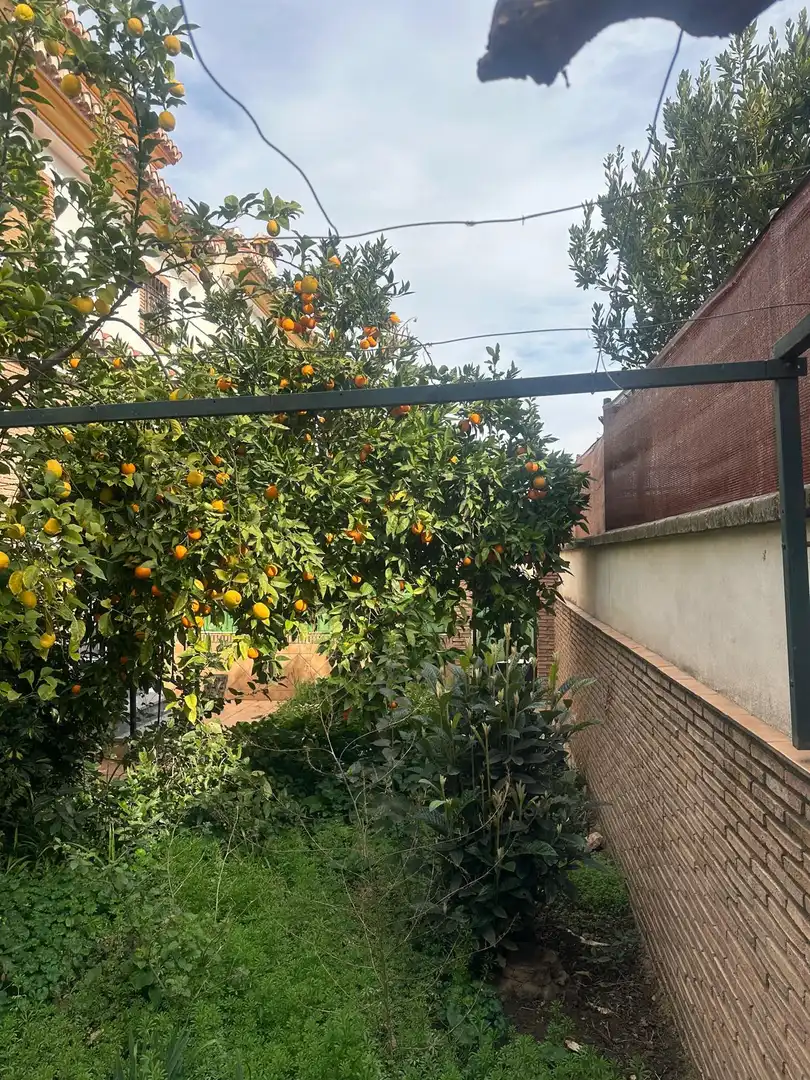 Casa amb terrassa en venda a Cájar, imagen 16