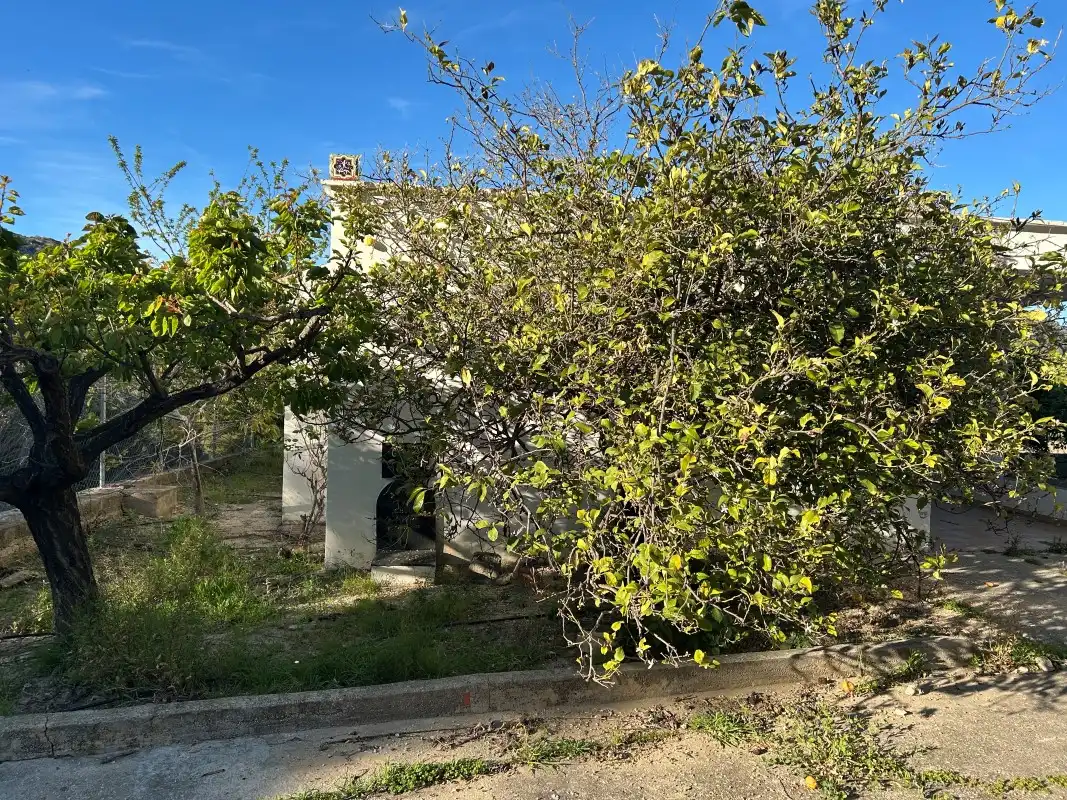 Finca rústica en venda en Oliva amb Moblat
