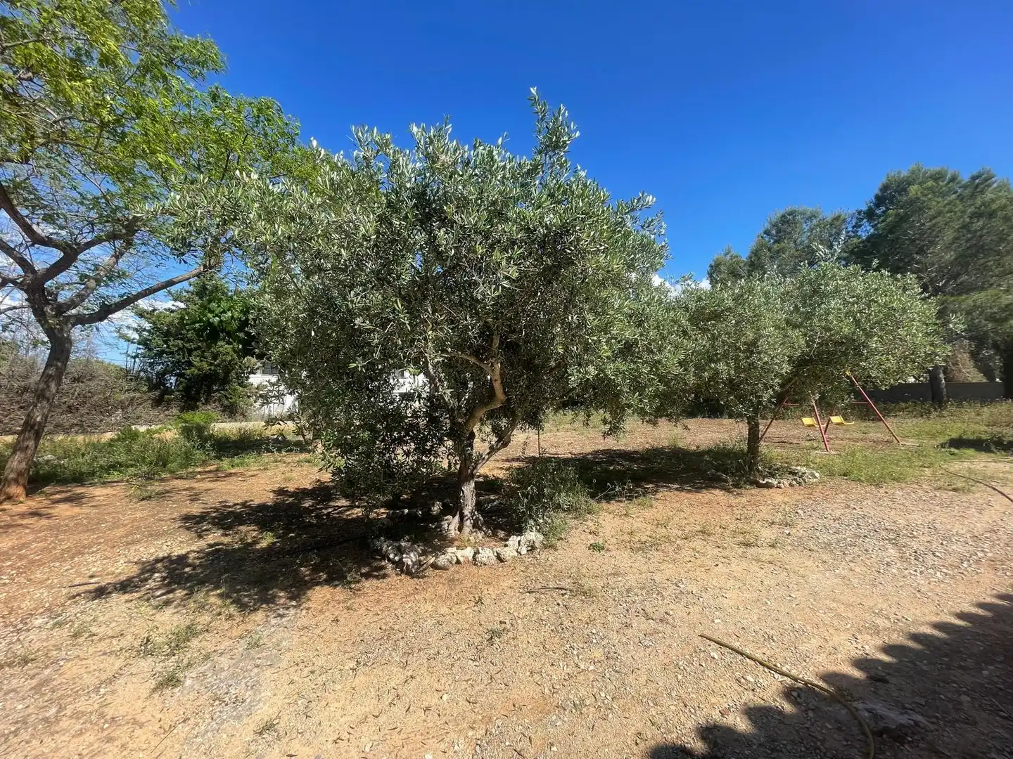 Villa con piscina in vendita a Catadau, imagen 50
