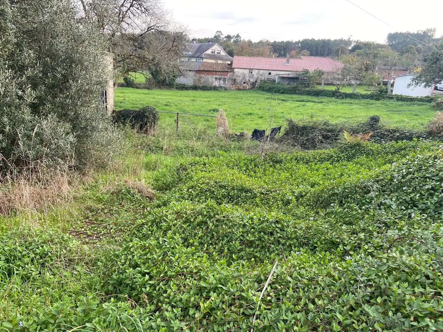 Casa rústica en venda a Lalín, imagen 7
