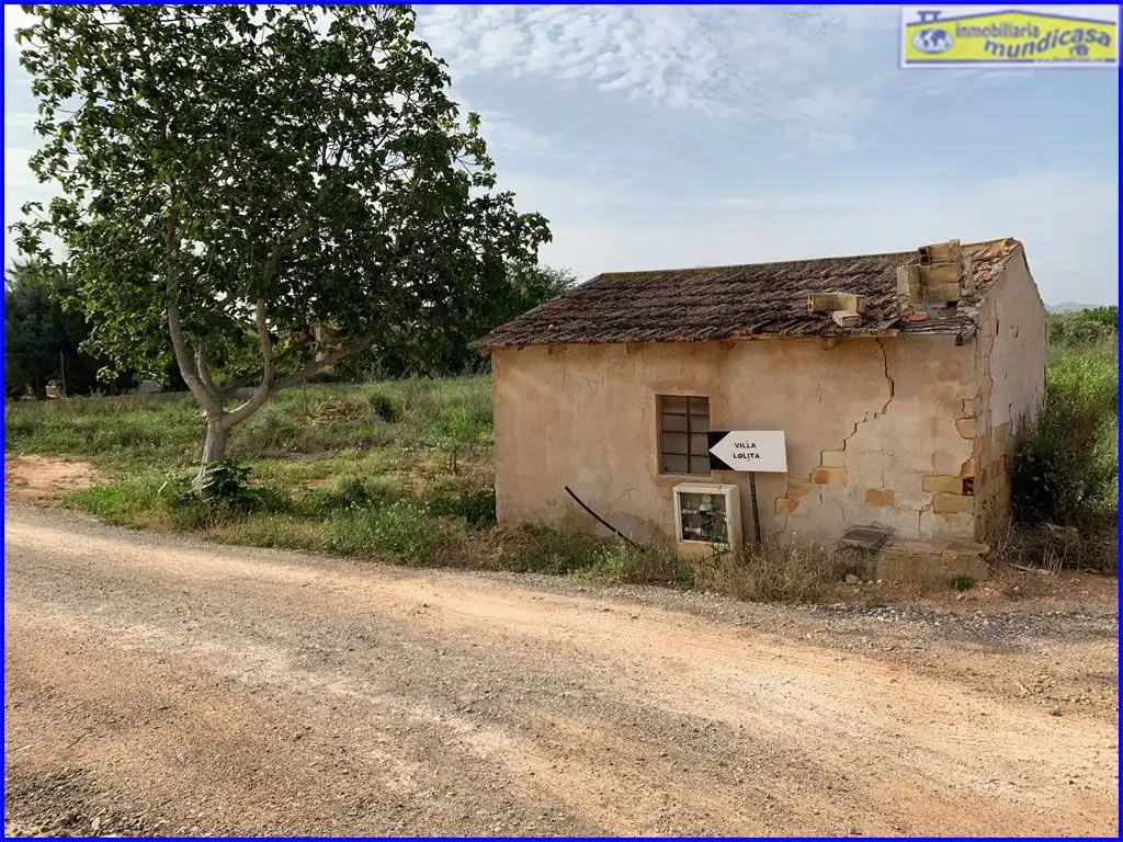 Terreno rústico en venta en Fortuna, imagen 10