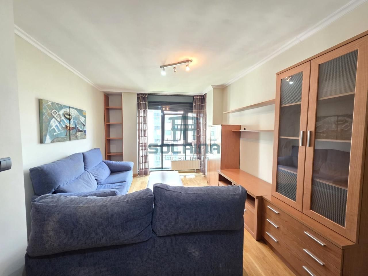 Sala d'estar de Pis de lloguer en Ourense Capital  amb Calefacció i Moblat