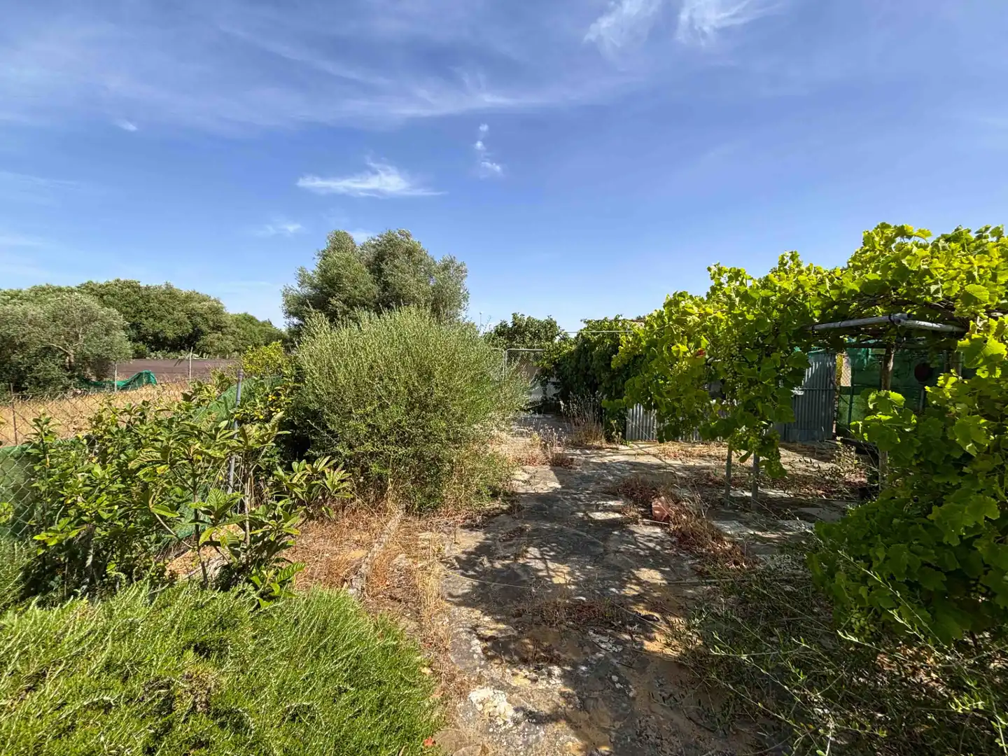 Terreny rústic en venda a Medina Sidonia, imagen 27