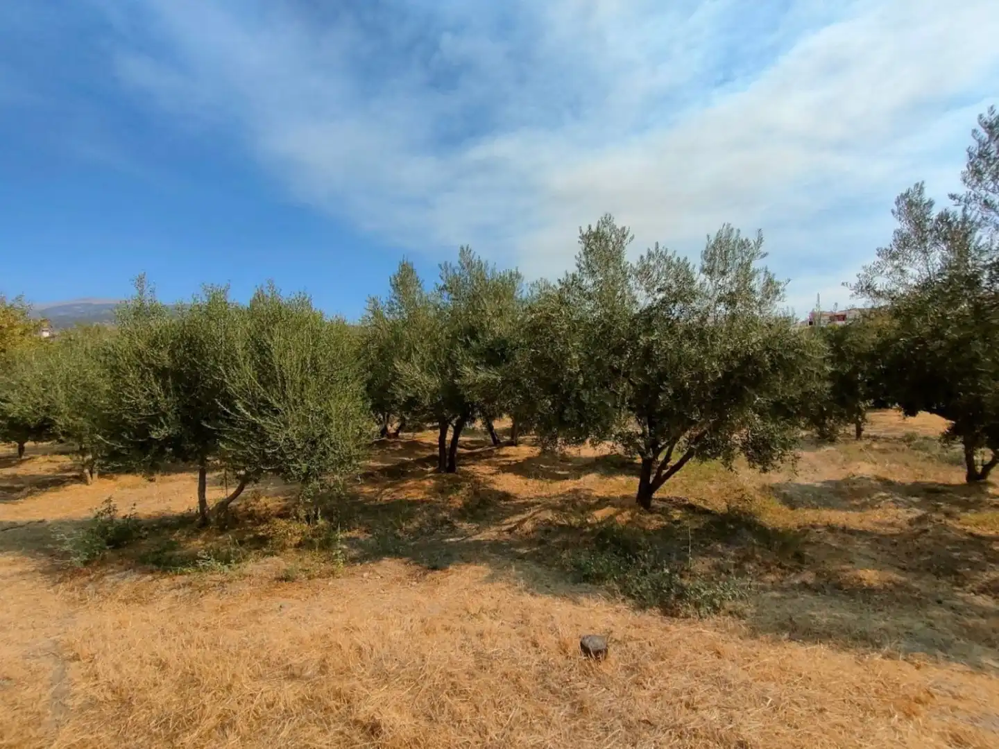 Grundstücke und Bauplätze zum Verkauf in Ugíjar, imagen 2