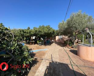 Garden of House or chalet for sale in Castellón de la Plana / Castelló de la Plana  with Terrace and Swimming Pool